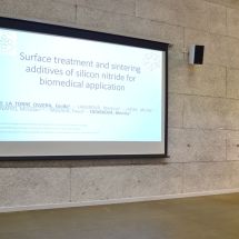 Guido de la Torre - Heated and plasma treated silicon nitride with different sintering additives for biomedical application